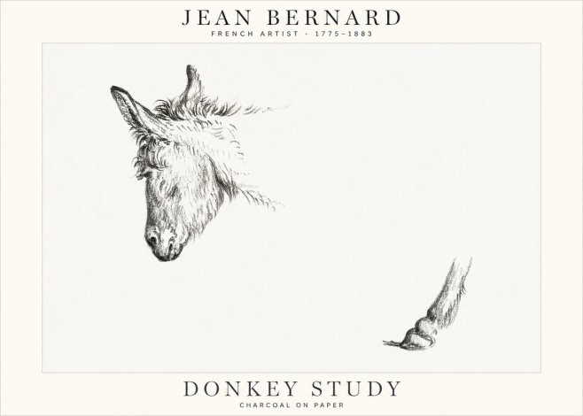 Jean Bernard Study of a Donkey II No2 - Juliste