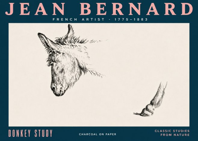 Jean Bernard Study of a Donkey II No5 - Juliste