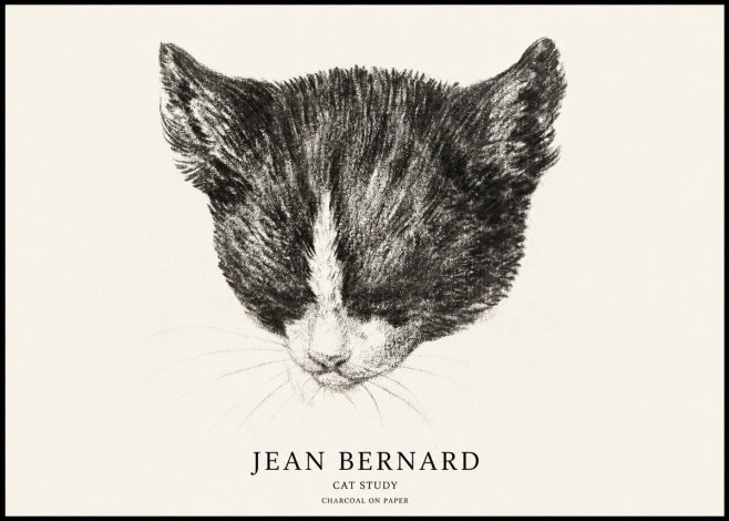 Jean Bernard Cat Study V No1 - Juliste