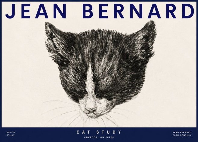Jean Bernard Cat Study V No3 - Juliste