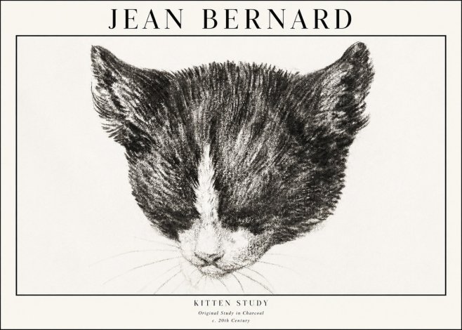 Jean Bernard Cat Study V No4 - Juliste