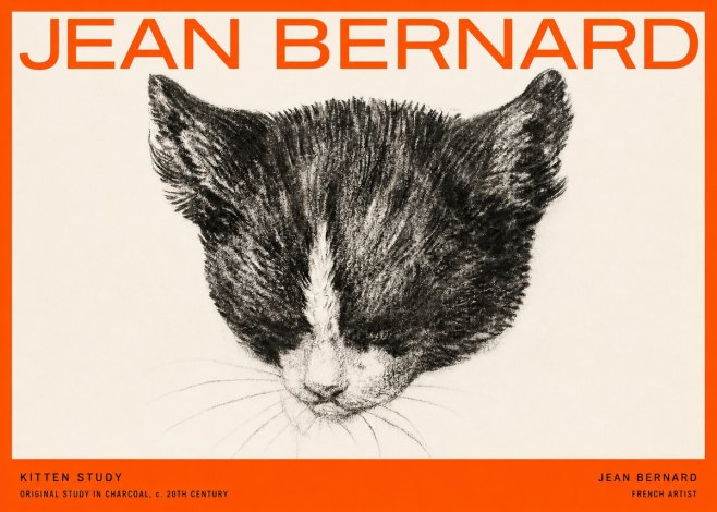 Jean Bernard Cat Study V No5 - Juliste