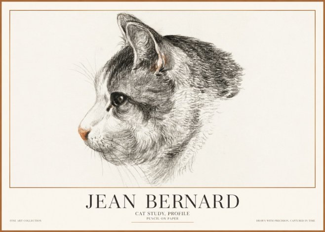 Jean Bernard Cat Study, Profile No1 - Juliste