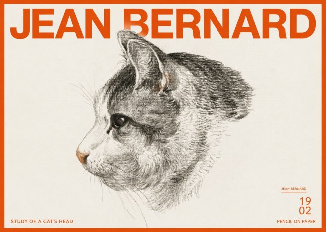 Jean Bernard Cat Study, Profile No3 - Juliste