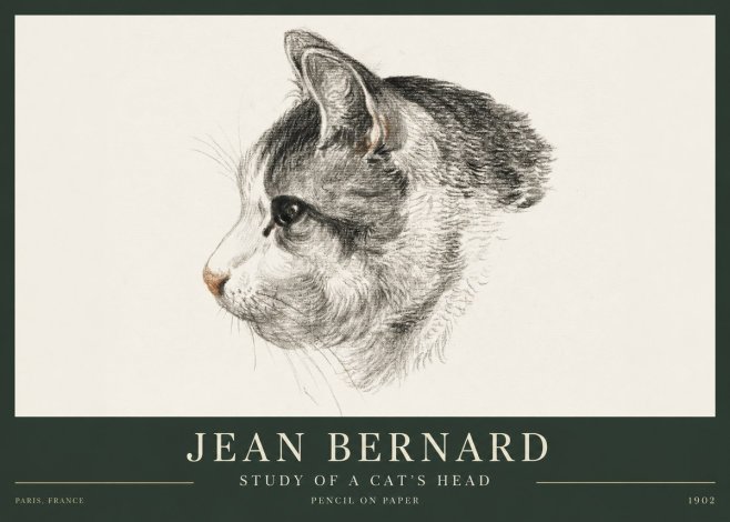 Jean Bernard Cat Study, Profile No4 - Juliste