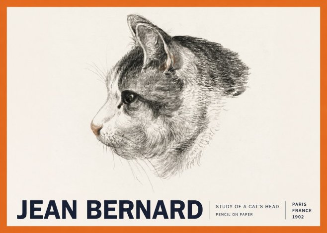 Jean Bernard Cat Study, Profile No6 - Juliste