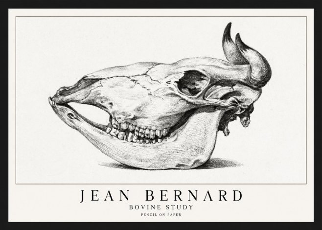 Jean Bernard Bovine Skull Study No2 - Juliste