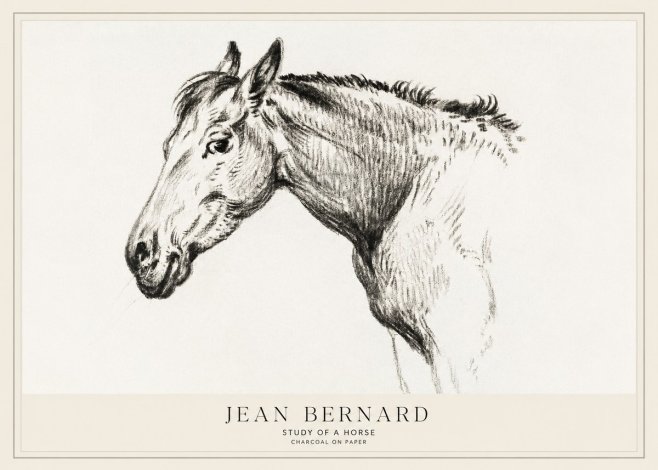 Jean Bernard Study of a Horse VI No1 - Juliste