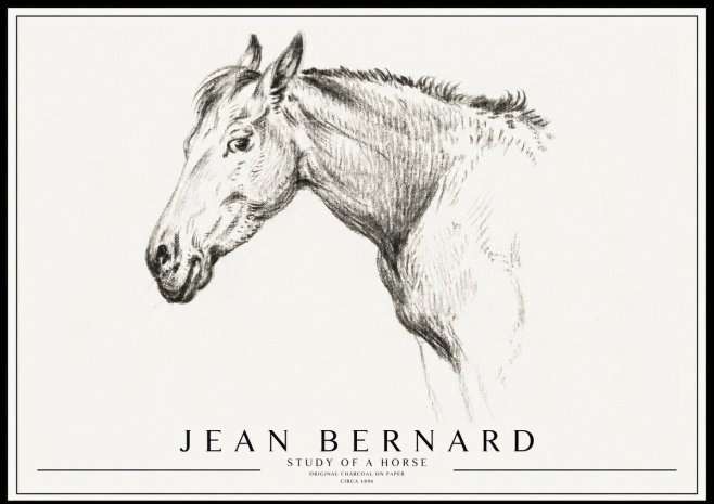 Jean Bernard Study of a Horse VI No3 - Juliste