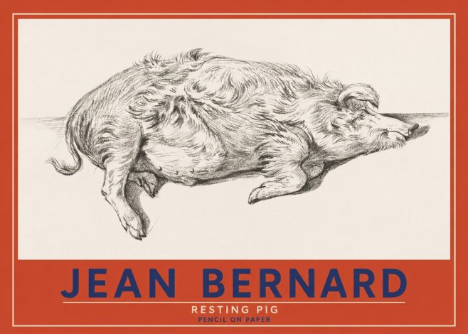 Jean Bernard Study of a Pig I No4 - Juliste