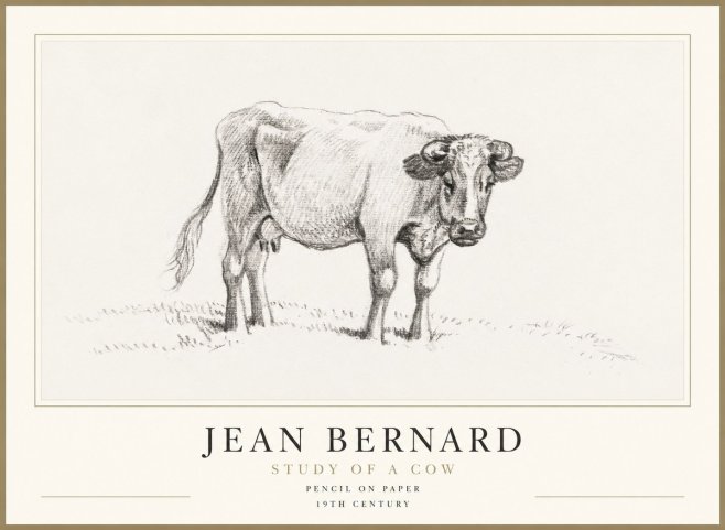 Jean Bernard Study of a Cow V No1 - Juliste