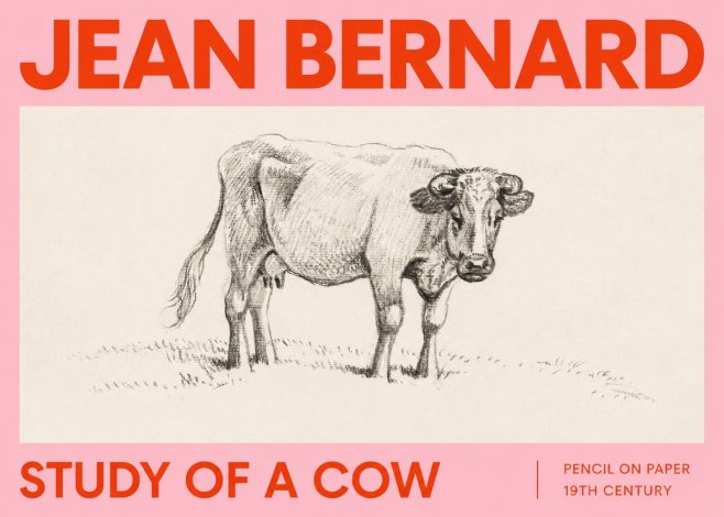 Jean Bernard Study of a Cow V No2 - Juliste