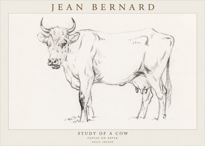 Jean Bernard Study of a Cow VI No3 - Juliste