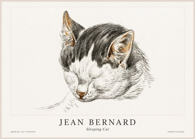 Jean Bernard Sleeping Cat V No1 - Juliste