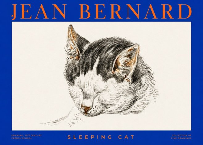 Jean Bernard Sleeping Cat V No2 - Juliste