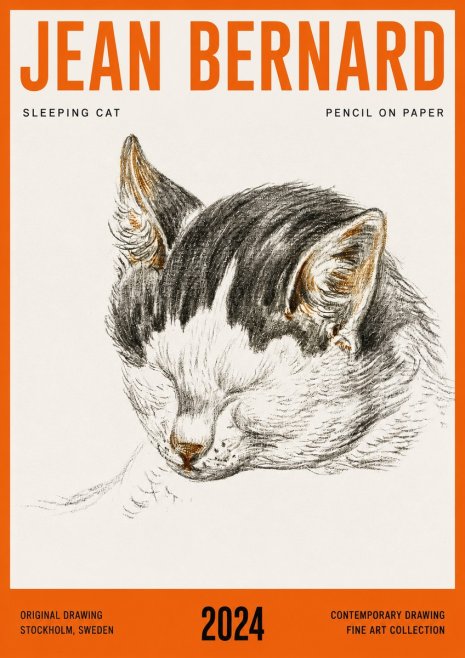 Jean Bernard Sleeping Cat V No4 - Juliste