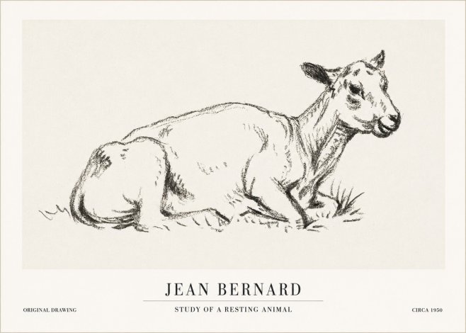 Jean Bernard Study of a Resting Animal No1 - Juliste