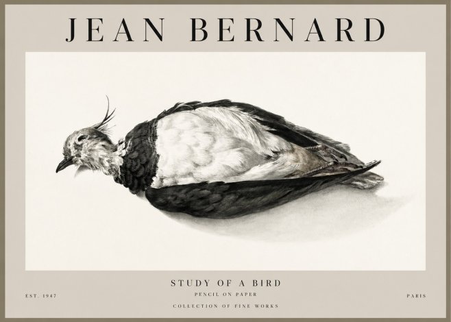 Jean Bernard Study of a Bird II No1 - Juliste
