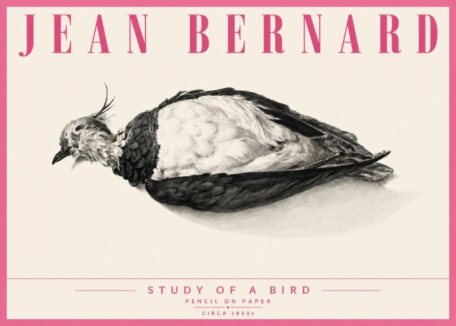 Jean Bernard Study of a Bird II No6 - Juliste