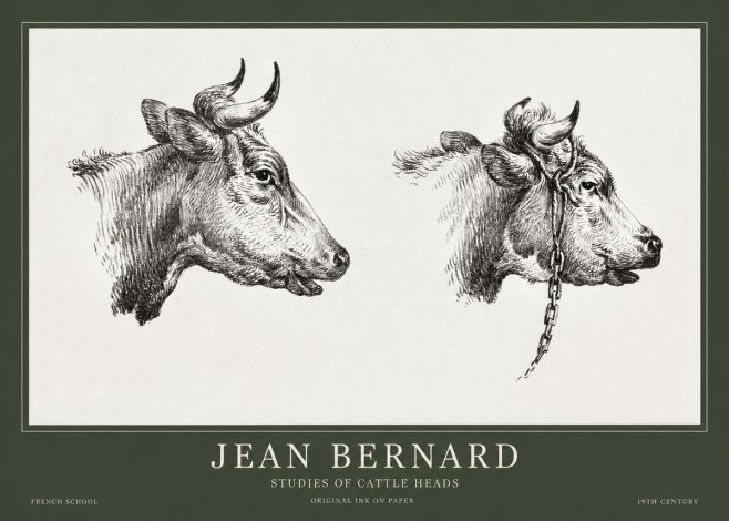 Jean Bernard Studies of Cattle Heads No1 - Juliste