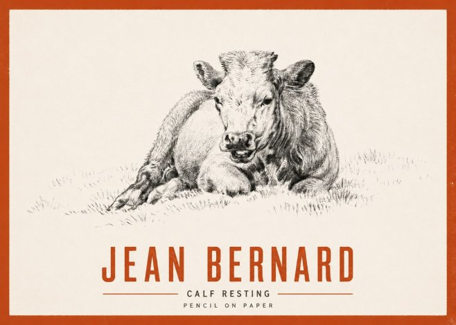 Jean Bernard Calf Resting No2 - Juliste