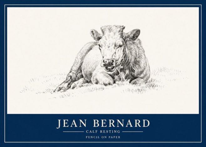 Jean Bernard Calf Resting No3 - Juliste