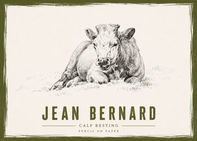 Jean Bernard Calf Resting No4 - Juliste
