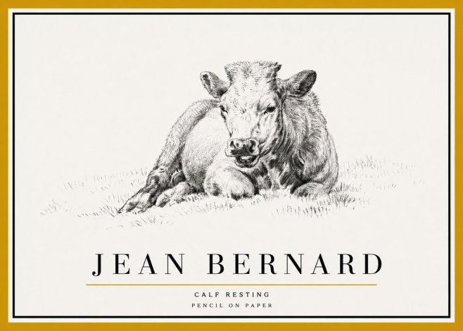 Jean Bernard Calf Resting No5 - Juliste