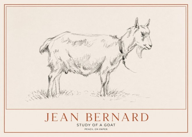 Jean Bernard Study of a Goat III No1 - Juliste