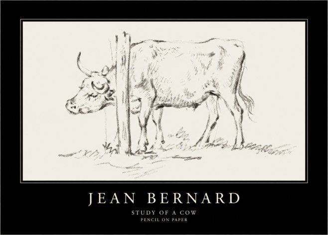 Jean Bernard Study of a Cow VII No4 - Juliste