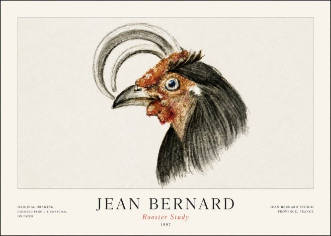 Jean Bernard Rooster Study No1 - Juliste