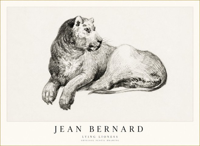 Jean Bernard Lying Lioness No1 - Juliste