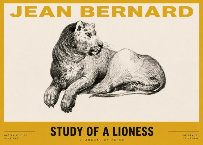 Jean Bernard Lying Lioness No4 - Juliste