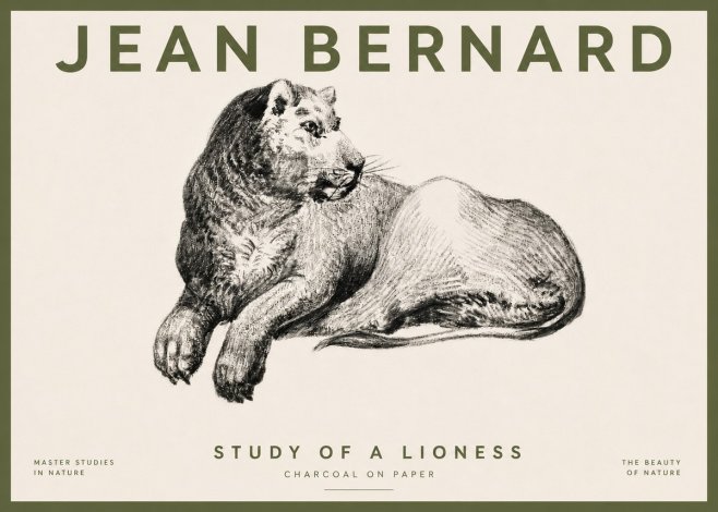 Jean Bernard Lying Lioness No5 - Juliste