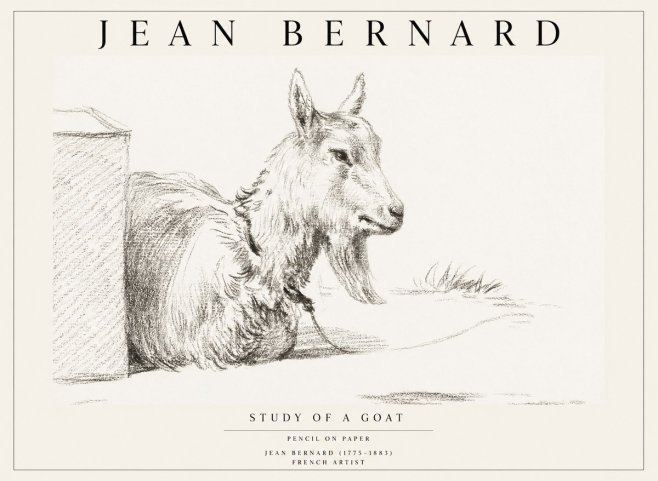 Jean Bernard Study of a Goat IV No1 - Juliste