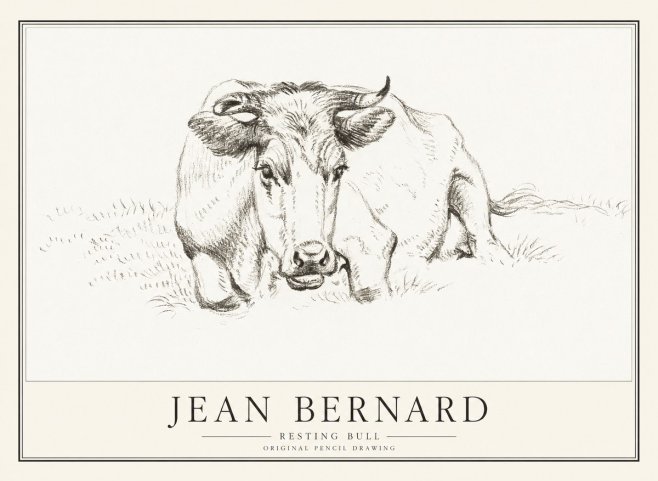Jean Bernard Resting Cow II No4 - Juliste