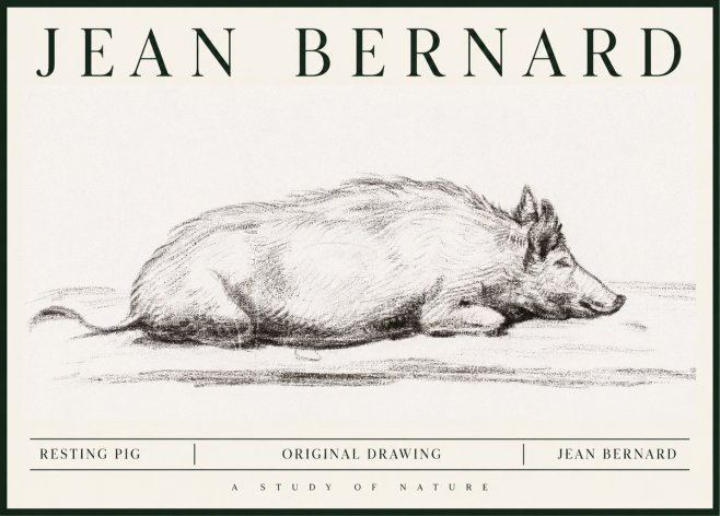 Jean Bernard Resting Pig I No1 - Juliste