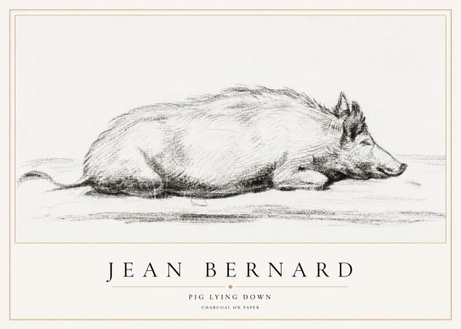 Jean Bernard Resting Pig I No2 - Juliste
