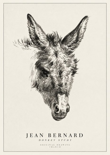 Jean Bernard Donkey Study IV No1 - Juliste