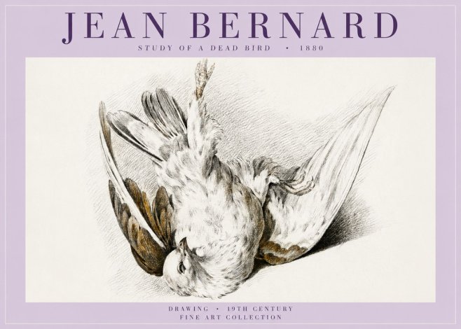 Jean Bernard Study of a Dead Bird No5 - Juliste