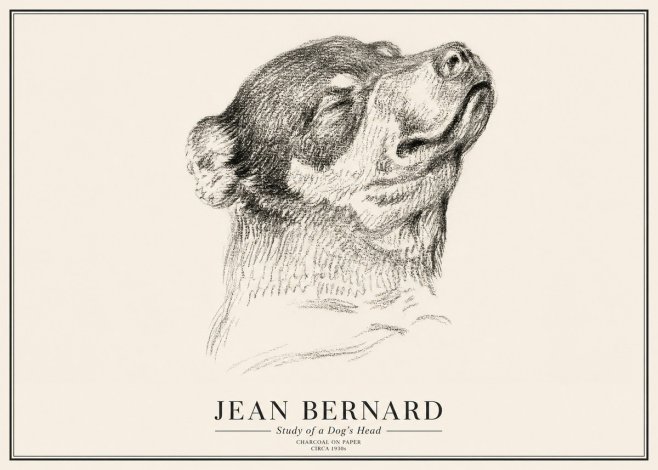 Jean Bernard Study of a Dog III No3 - Juliste