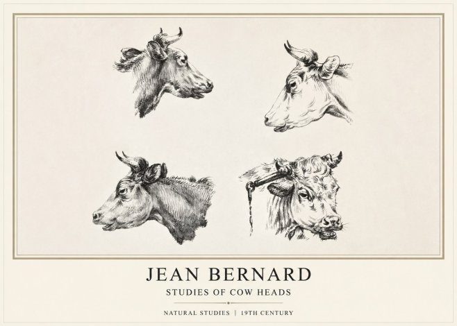Jean Bernard Studies of Cattle - Four Heads No2 - Juliste