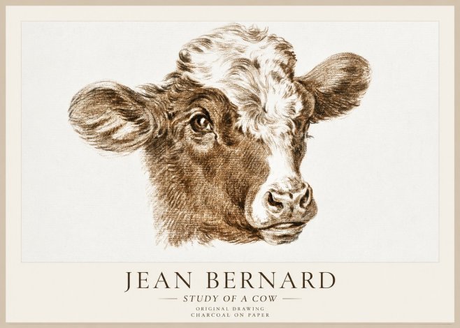 Jean Bernard Study of a Cow VIII No1 - Juliste