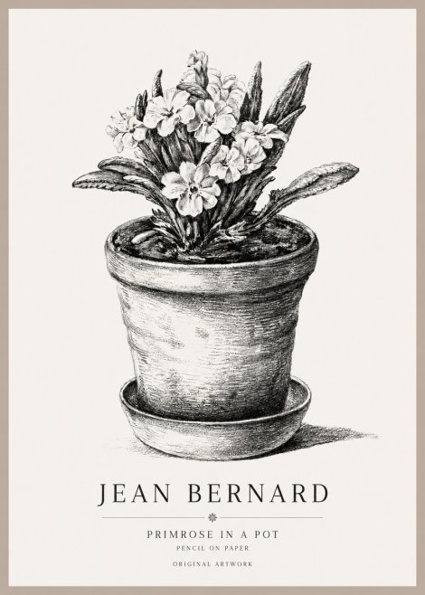 Jean Bernard Potted Primrose No2 - Juliste