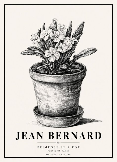 Jean Bernard Potted Primrose No6 - Juliste