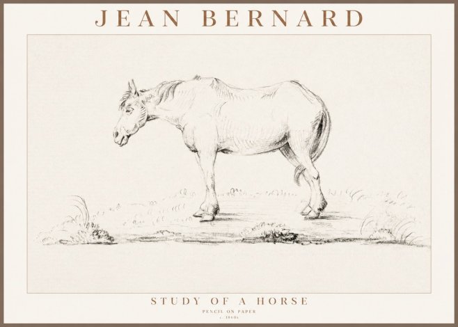 Jean Bernard Study of a Horse IX No3 - Juliste