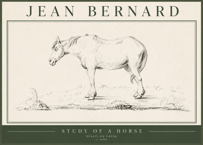 Jean Bernard Study of a Horse IX No5 - Juliste