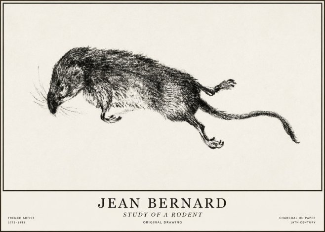 Jean Bernard Study of a Rat II No5 - Juliste