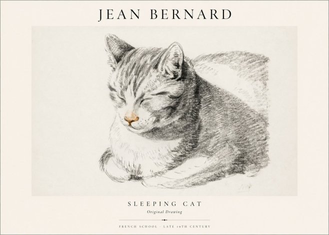 Jean Bernard Sleeping Cat VI No1 - Juliste