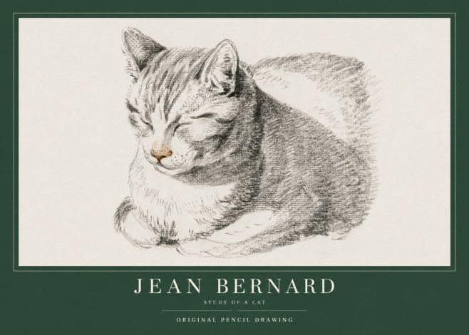 Jean Bernard Sleeping Cat VI No4 - Juliste